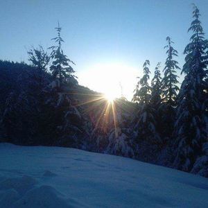 Meet your Posher, Tim